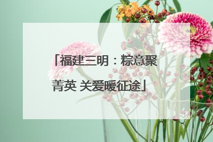 福建三明：粽意聚菁英 关爱暖征途