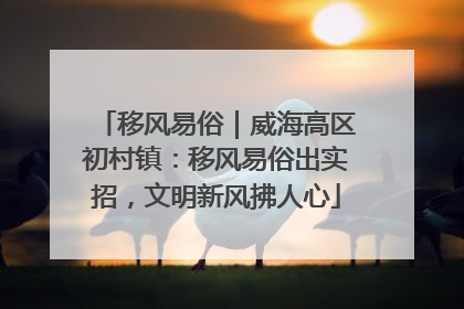 移风易俗｜威海高区初村镇：移风易俗出实招，文明新风拂人心