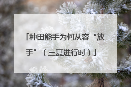 种田能手为何从容“放手”（三夏进行时）