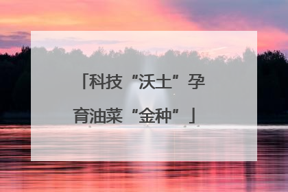 科技“沃土”孕育油菜“金种”