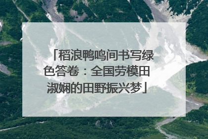 稻浪鸭鸣间书写绿色答卷：全国劳模田淑娴的田野振兴梦