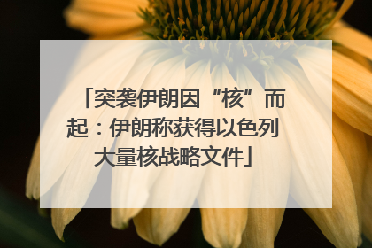 突袭伊朗因“核”而起：伊朗称获得以色列大量核战略文件