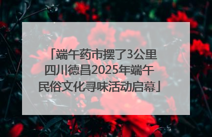 端午药市摆了3公里 四川德昌2025年端午民俗文化寻味活动启幕