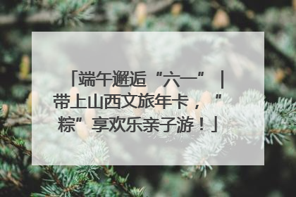 端午邂逅“六一”｜带上山西文旅年卡，“粽”享欢乐亲子游！