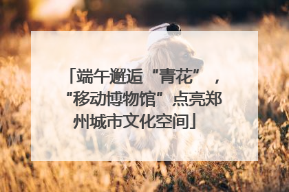 端午邂逅“青花”，“移动博物馆”点亮郑州城市文化空间