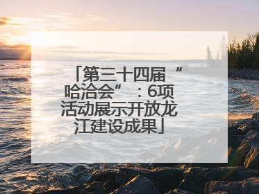 第三十四届“哈洽会”：6项活动展示开放龙江建设成果