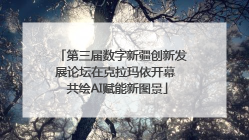 第三届数字新疆创新发展论坛在克拉玛依开幕 共绘AI赋能新图景