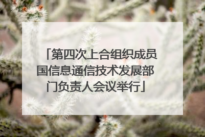 第四次上合组织成员国信息通信技术发展部门负责人会议举行