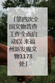 第四次全国文物普查工作全面启动以 来福州新发现文物1173处