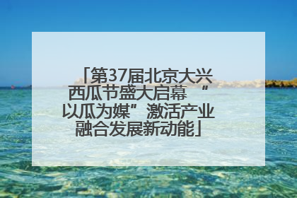 第37届北京大兴西瓜节盛大启幕 “以瓜为媒”激活产业融合发展新动能