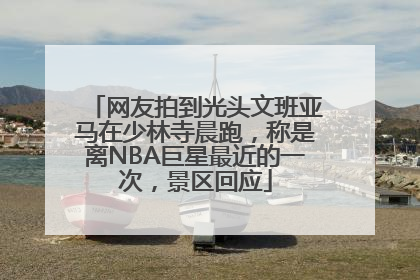 网友拍到光头文班亚马在少林寺晨跑，称是离NBA巨星最近的一次，景区回应