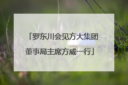 罗东川会见方大集团董事局主席方威一行