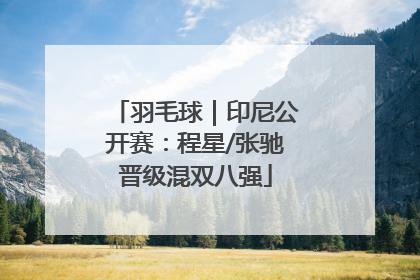 羽毛球｜印尼公开赛：程星/张驰晋级混双八强