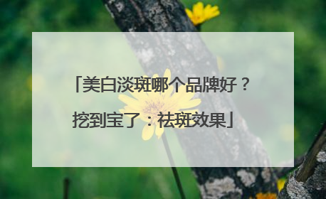 美白淡斑哪个品牌好？挖到宝了：祛斑效果