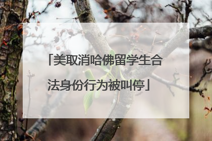 美取消哈佛留学生合法身份行为被叫停