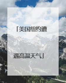 美国纽约遭遇高温天气