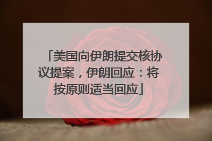 美国向伊朗提交核协议提案，伊朗回应：将按原则适当回应
