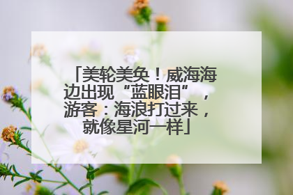 美轮美奂！威海海边出现“蓝眼泪”，游客：海浪打过来，就像星河一样