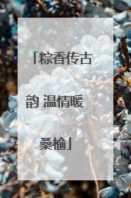 粽香传古韵 温情暖桑榆