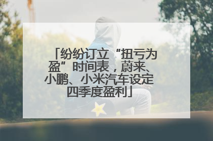 纷纷订立“扭亏为盈”时间表，蔚来、小鹏、小米汽车设定四季度盈利