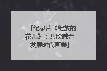 纪录片《绽放的花儿》：共绘融合发展时代画卷