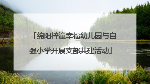 绵阳梓潼幸福幼儿园与自强小学开展支部共建活动