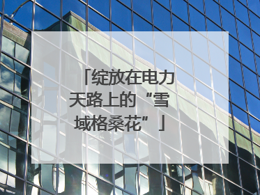 绽放在电力天路上的“雪域格桑花”