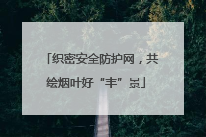 织密安全防护网，共绘烟叶好“丰”景