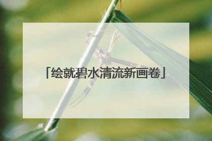 绘就碧水清流新画卷