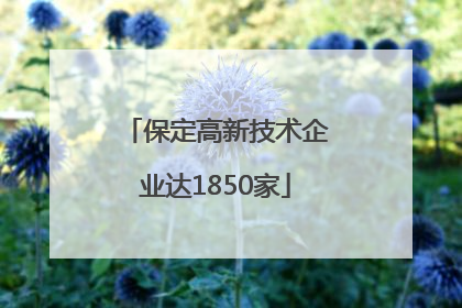 保定高新技术企业达1850家