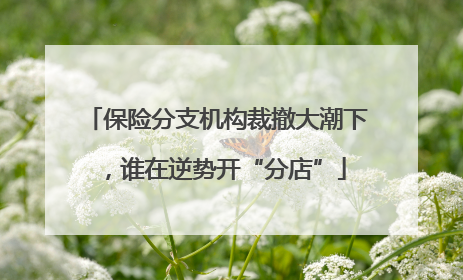 保险分支机构裁撤大潮下，谁在逆势开“分店”