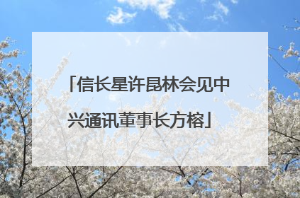 信长星许昆林会见中兴通讯董事长方榕
