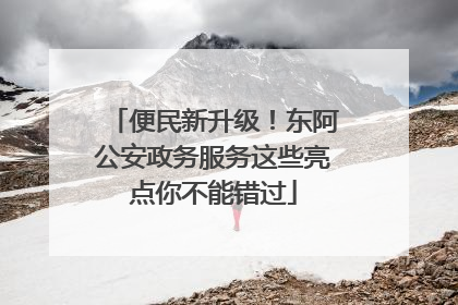 便民新升级！东阿公安政务服务这些亮点你不能错过