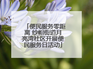 便民服务零距离 纱帽街道月亮湾社区开展便民服务日活动