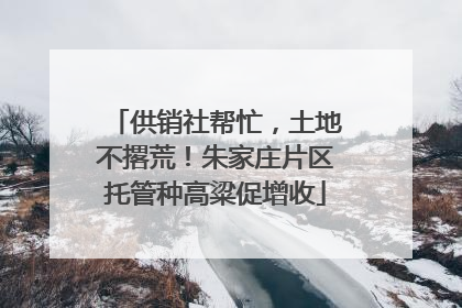 供销社帮忙，土地不撂荒！朱家庄片区托管种高粱促增收