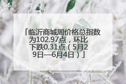 临沂商城周价格总指数为102.97点，环比下跌0.31点（5月29日—6月4日）
