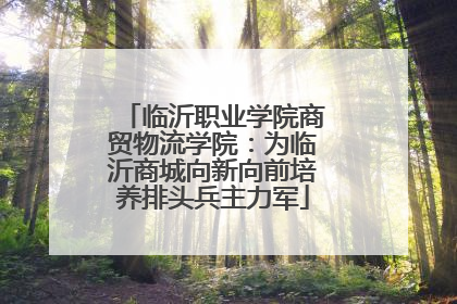 临沂职业学院商贸物流学院：为临沂商城向新向前培养排头兵主力军