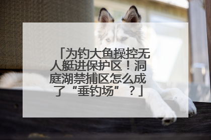 为钓大鱼操控无人艇进保护区！洞庭湖禁捕区怎么成了“垂钓场”？