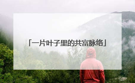 一片叶子里的共富脉络