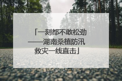 一刻都不敢松劲——湖南桑植防汛救灾一线直击