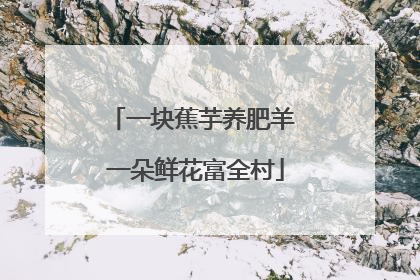 一块蕉芋养肥羊 一朵鲜花富全村