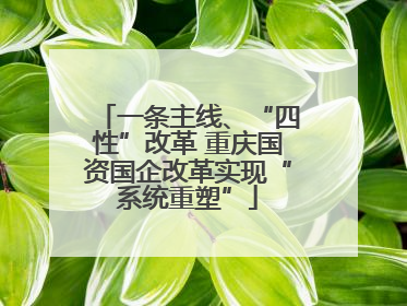 一条主线、“四性”改革 重庆国资国企改革实现“系统重塑”