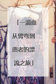 一滴血从臂弯到患者的漂流之旅