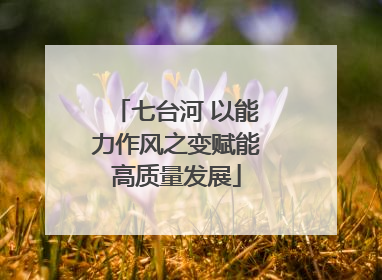 七台河 以能力作风之变赋能高质量发展