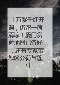 万紫千红开遍，仍留一荷清凉！厦门赏荷地图已备好，还有专家带您区分荷与莲→