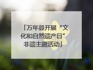 万年县开展“文化和自然遗产日”非遗主题活动