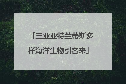 三亚亚特兰蒂斯多样海洋生物引客来
