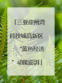 三亚崖州湾科技城高新区：“蓝色经济”动能澎湃