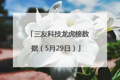 三友科技龙虎榜数据（5月29日）