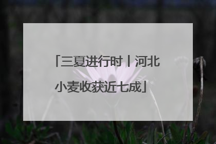 三夏进行时丨河北小麦收获近七成